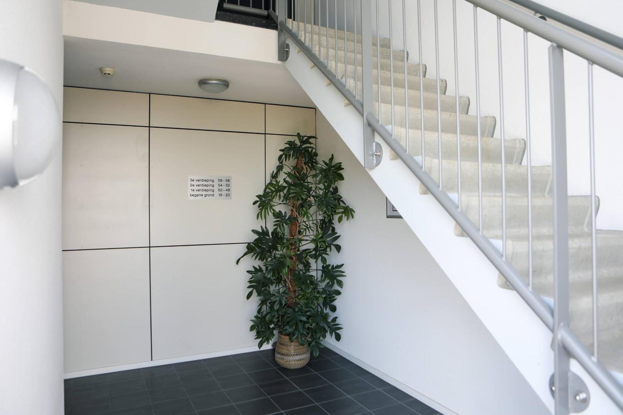 Strand Appartementen וומלדינגה מראה חיצוני תמונה